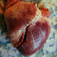 Illustration for article titled Your own heart could provide the stem cells to fix itself